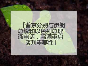 普京分别与伊朗总统和以色列总理通电话，强调重启谈判重要性