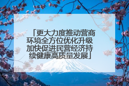 更大力度推动营商环境全方位优化升级加快促进民营经济持续健康高质量发展
