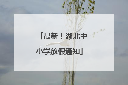 最新！湖北中小学放假通知
