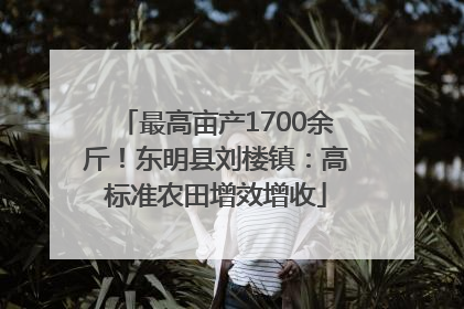 最高亩产1700余斤！东明县刘楼镇：高标准农田增效增收