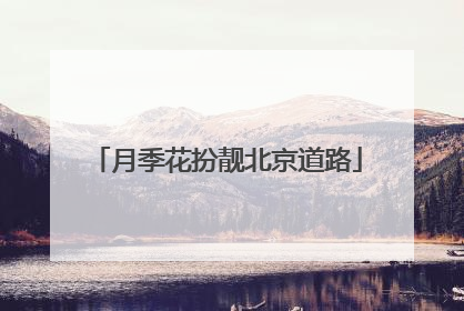 月季花扮靓北京道路