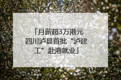 月薪超3万港元 四川泸县首批“泸建工”赴港就业
