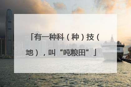 有一种科（种）技（地），叫“吨粮田”
