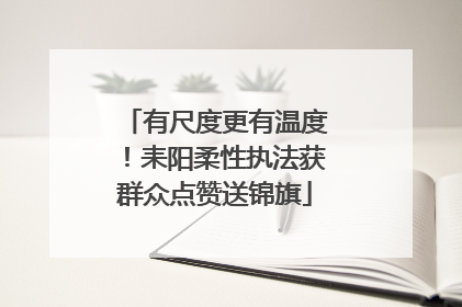 有尺度更有温度！耒阳柔性执法获群众点赞送锦旗