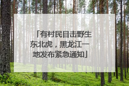 有村民目击野生东北虎，黑龙江一地发布紧急通知