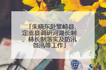 朱晓东赴繁峙县、定襄县调研河湖长制、林长制落实及防汛备汛等工作