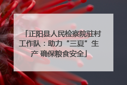 正阳县人民检察院驻村工作队：助力“三夏”生产 确保粮食安全