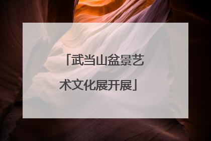 武当山盆景艺术文化展开展