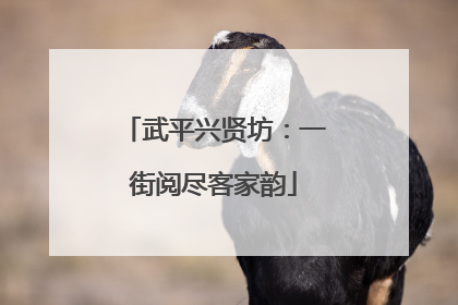 武平兴贤坊：一街阅尽客家韵