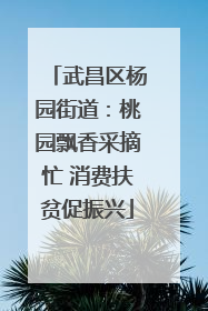 武昌区杨园街道：桃园飘香采摘忙 消费扶贫促振兴
