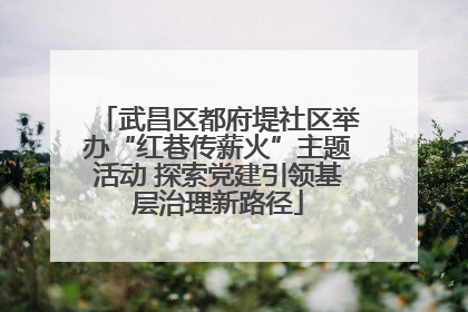 武昌区都府堤社区举办“红巷传薪火”主题活动 探索党建引领基层治理新路径
