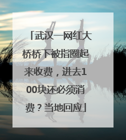 武汉一网红大桥桥下被指圈起来收费，进去100块还必须消费？当地回应