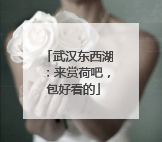 武汉东西湖：来赏荷吧，包好看的
