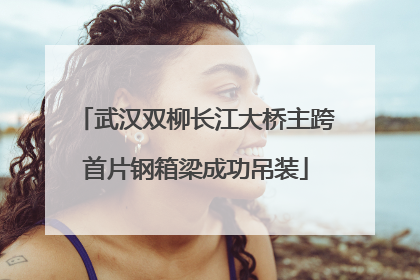 武汉双柳长江大桥主跨首片钢箱梁成功吊装