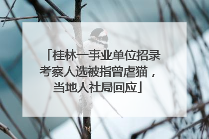 桂林一事业单位招录考察人选被指曾虐猫，当地人社局回应
