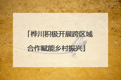 桦川积极开展跨区域合作赋能乡村振兴