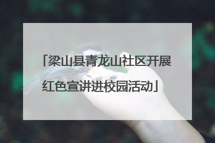 梁山县青龙山社区开展红色宣讲进校园活动
