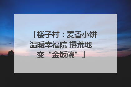 楼子村：麦香小饼温暖幸福院 撂荒地变“金饭碗”