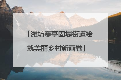 潍坊寒亭固堤街道绘就美丽乡村新画卷