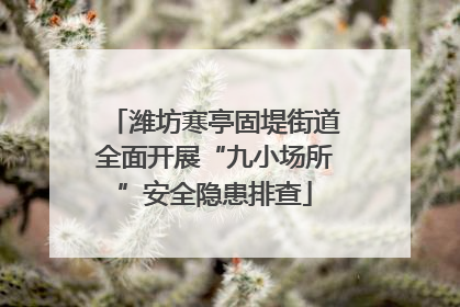 潍坊寒亭固堤街道全面开展“九小场所”安全隐患排查