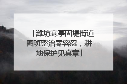 潍坊寒亭固堤街道图斑整治零容忍，耕地保护见真章