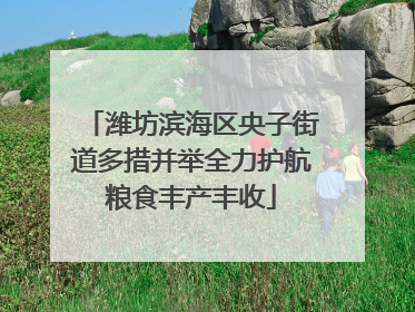潍坊滨海区央子街道多措并举全力护航粮食丰产丰收