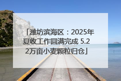 潍坊滨海区：2025年夏收工作圆满完成 5.22万亩小麦颗粒归仓