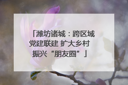 潍坊诸城：跨区域党建联建 扩大乡村振兴“朋友圈”