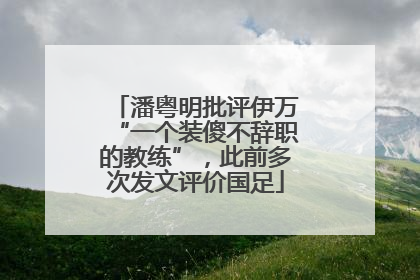 潘粤明批评伊万“一个装傻不辞职的教练”，此前多次发文评价国足