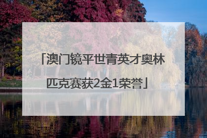 澳门镜平世青英才奥林匹克赛获2金1荣誉