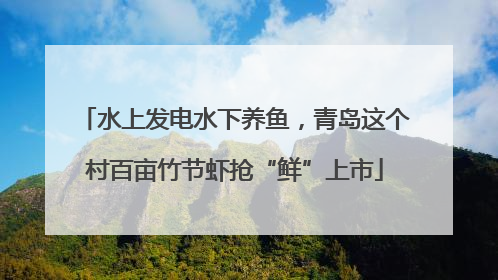 水上发电水下养鱼，青岛这个村百亩竹节虾抢“鲜”上市