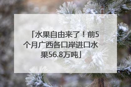 水果自由来了！前5个月广西各口岸进口水果56.8万吨