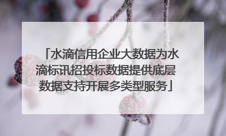 水滴信用企业大数据为水滴标讯招投标数据提供底层数据支持开展多类型服务