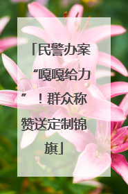 民警办案“嘎嘎给力”！群众称赞送定制锦旗