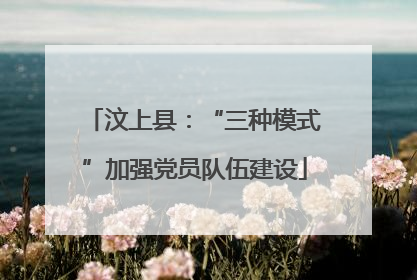 汶上县：“三种模式”加强党员队伍建设