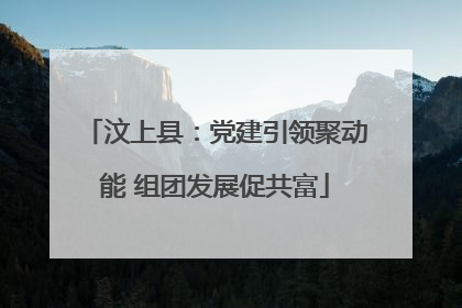 汶上县：党建引领聚动能 组团发展促共富