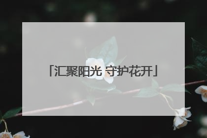 汇聚阳光 守护花开