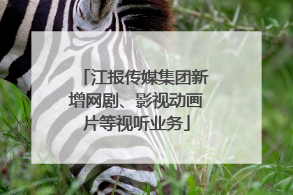江报传媒集团新增网剧、影视动画片等视听业务