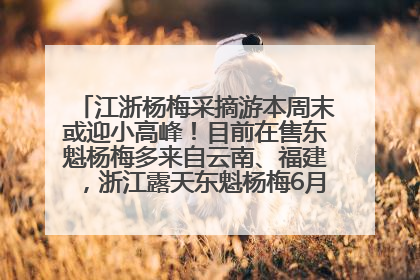 江浙杨梅采摘游本周末或迎小高峰！目前在售东魁杨梅多来自云南、福建，浙江露天东魁杨梅6月中旬大量上市