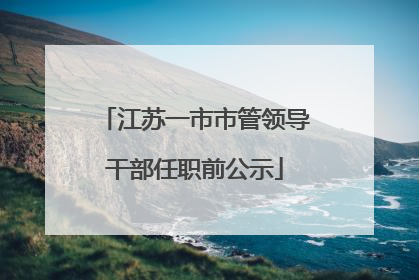 江苏一市市管领导干部任职前公示