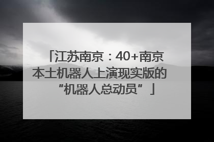 江苏南京：40+南京本土机器人上演现实版的“机器人总动员”