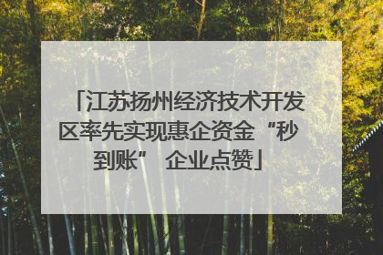 江苏扬州经济技术开发区率先实现惠企资金“秒到账” 企业点赞