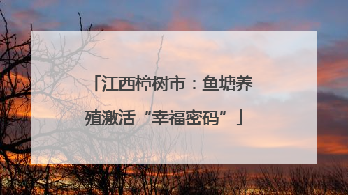 江西樟树市：鱼塘养殖激活“幸福密码”