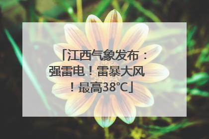 江西气象发布：强雷电！雷暴大风！最高38℃