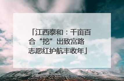 江西泰和：千亩百合“挖”出致富路 志愿红护航丰收年
