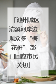 池州城区清溪河岸边现众多“梅花桩” 部门回应市民关切