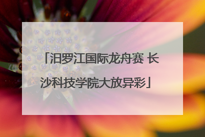 汨罗江国际龙舟赛 长沙科技学院大放异彩