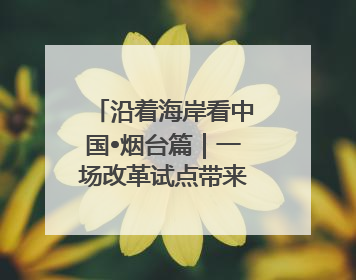 沿着海岸看中国•烟台篇｜一场改革试点带来的变化