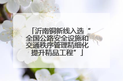 沂南铜新线入选“全国公路安全设施和交通秩序管理精细化提升精品工程”