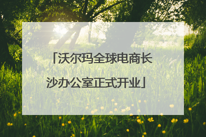 沃尔玛全球电商长沙办公室正式开业